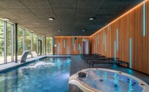 Winterbliss België zwembad